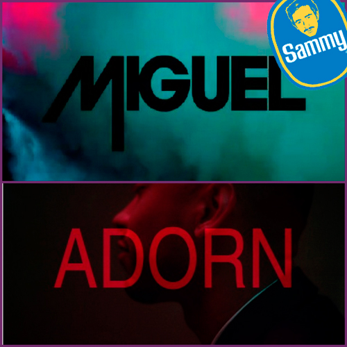 NEW MUSIC ALERT. Miguel - Adorn (Sammy Bananas Bootleg)