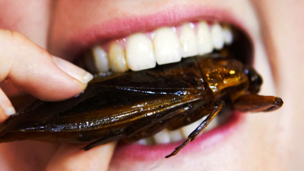 Man Dies After Ingesting Roaches and Worms
