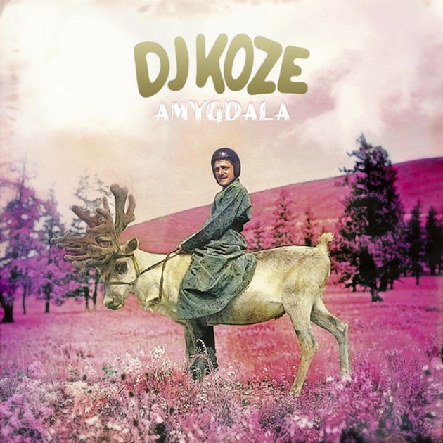 DJ Koze Ft. Caribou - Track ID Anyone?