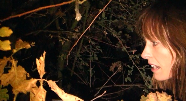 Oh SH*T Y'all Bigfoot's Real And I Gotta Movie Trailer TO Prove It!