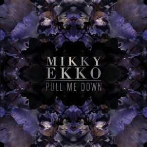 Mikky Echo - Pull Me Down [The Internet Remix]